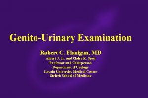 GenitoUrinary Examination Robert C Flanigan MD Albert J