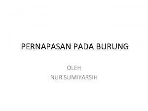 PERNAPASAN PADA BURUNG OLEH NUR SUMIYARSIH ORGAN PERNAPASAN