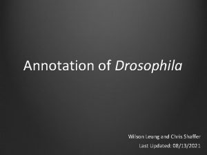 Annotation of Drosophila Wilson Leung and Chris Shaffer