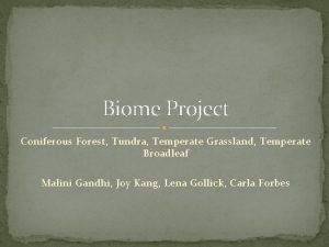 Biome Project Coniferous Forest Tundra Temperate Grassland Temperate