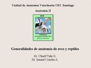 Unidad de Anatoma Veterinaria UST Santiago Anatoma II