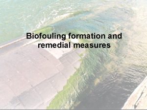 Biofouling formation and remedial measures introduction a Biofouling