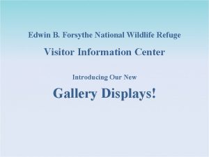 Edwin B Forsythe National Wildlife Refuge Visitor Information