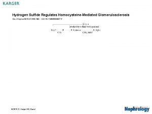 Hydrogen Sulfide Regulates HomocysteineMediated Glomerulosclerosis Am J Nephrol