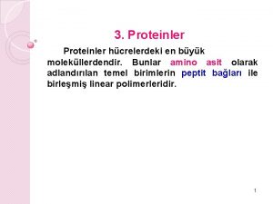 3 Proteinler hcrelerdeki en byk molekllerdendir Bunlar amino