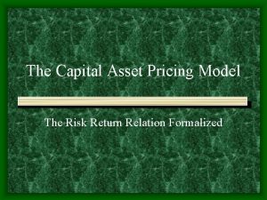 The Capital Asset Pricing Model The Risk Return