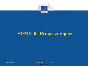 SDMX RI Progress report June 2019 SDMX Workshop