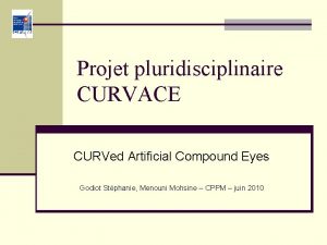 Projet pluridisciplinaire CURVACE CURVed Artificial Compound Eyes Godiot