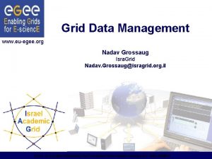 Grid Data Management www euegee org Nadav Grossaug
