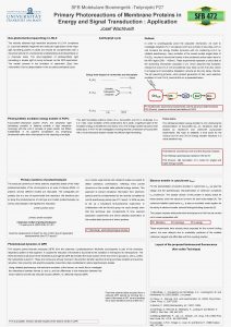 SFB Molekulare Bioenergetik Teilprojekt P 27 Primary Photoreactions