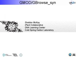 GMODGBrowsesyn Sheldon Mc Kay i Plant Collaborative DNA