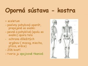 Sceletum Sceletum