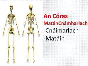 An Cras Matn Cnmharlach Cnimarlach Matin Cuspir Lann