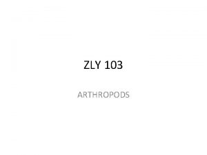 ZLY 103 ARTHROPODS ARTHROPODS INTRODUCTION refers to the