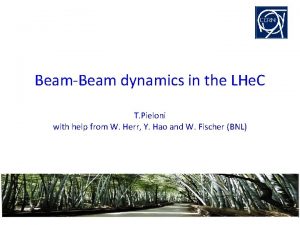 BeamBeam dynamics in the LHe C T Pieloni