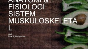 ANATOMI FISIOLOGI SISTEM MUSKULOSKELETA L Oleh Faik Agiwahyuanto