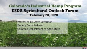 Colorados Industrial Hemp Program USDA Agricultural Outlook Forum