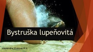 Bystruka lupeovit Alexandra Slivkov III A Obsah Klasifikcia