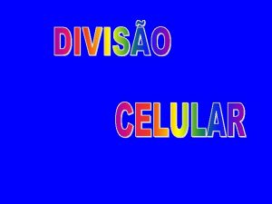 A diviso celular um processo pelo qual as