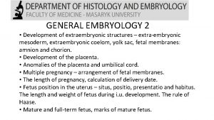 GENERAL EMBRYOLOGY 2 Development of extraembryonic structures extraembryonic