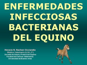 ENFERMEDADES INFECCIOSAS BACTERIANAS DEL EQUINO Horacio N Nachon
