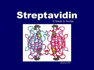 Streptavidin It binds to biotin Mc Devitt 1999