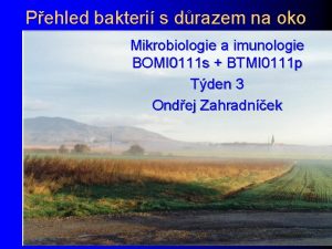 Pehled bakteri s drazem na oko Mikrobiologie a