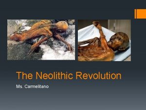 The Neolithic Revolution Ms Carmelitano The Neolithic Revolution
