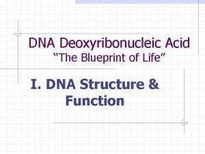 DNA Deoxyribonucleic Acid The Blueprint of Life I