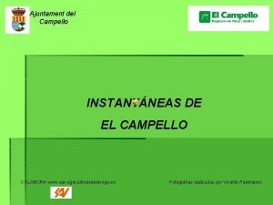 Ajuntament del Campello INSTANTNEAS DE EL CAMPELLO COLABORA