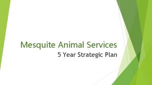 Mesquite Animal Services 5 Year Strategic Plan 2015