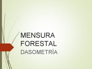 MENSURA FORESTAL DASOMETRA Introduccin Definicin Graves 1906 La