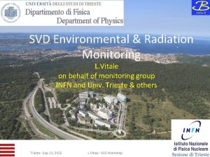 SVD Environmental Radiation Monitoring L Vitale on behalf