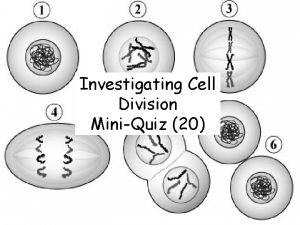 Investigating Cell Division MiniQuiz 20 Question 1 How