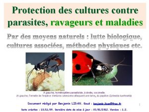 Protection des cultures contre parasites ravageurs et maladies