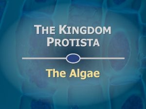 THE KINGDOM PROTISTA The Algae ALGAL CHARACTERISTICS grass