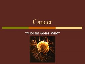 What is mitosis gone wild What is mitosis gone wild
