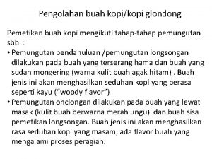 Pengolahan buah kopikopi glondong Pemetikan buah kopi mengikuti