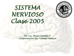 Propiedades Generales del Sistema Nervioso El sistema nervioso