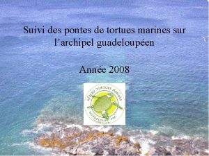 Suivi des pontes de tortues marines sur larchipel