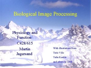 Biological Image Processing Physiology and Function C 428615