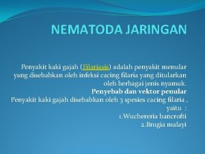 NEMATODA JARINGAN Penyakit kaki gajah Filariasis adalah penyakit