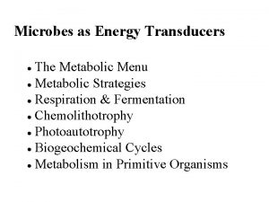 Microbes as Energy Transducers The Metabolic Menu Metabolic