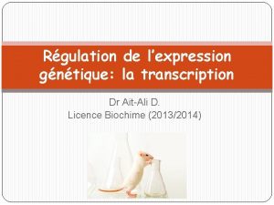 Rgulation de lexpression gntique la transcription Dr AitAli