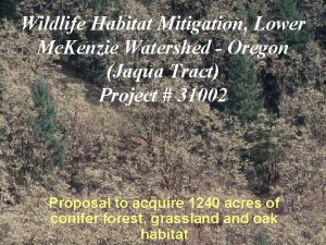 Wildlife Habitat Mitigation Lower Mc Kenzie Watershed Oregon