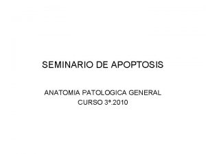 SEMINARIO DE APOPTOSIS ANATOMIA PATOLOGICA GENERAL CURSO 3