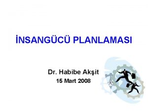 NSANGC PLANLAMASI Dr Habibe Akit 15 Mart 2008