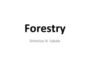 Forestry Shrinivas N Sabale Branches 1 Silviculture If