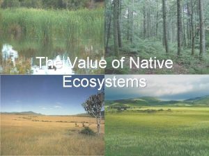 The Value of Native Ecosystems Ecosystem Services Ecosystem