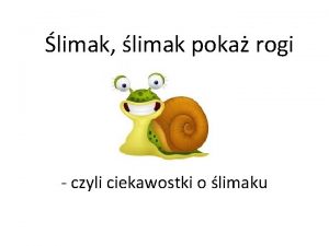 limak limak poka rogi czyli ciekawostki o limaku